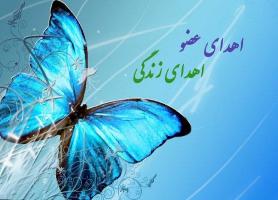 نهمین اهدای عضو امسال در کهگیلویه وبویراحمد