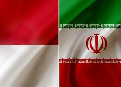 هیئت پارلمانی ایران امروز راهی اندونزی می گردد