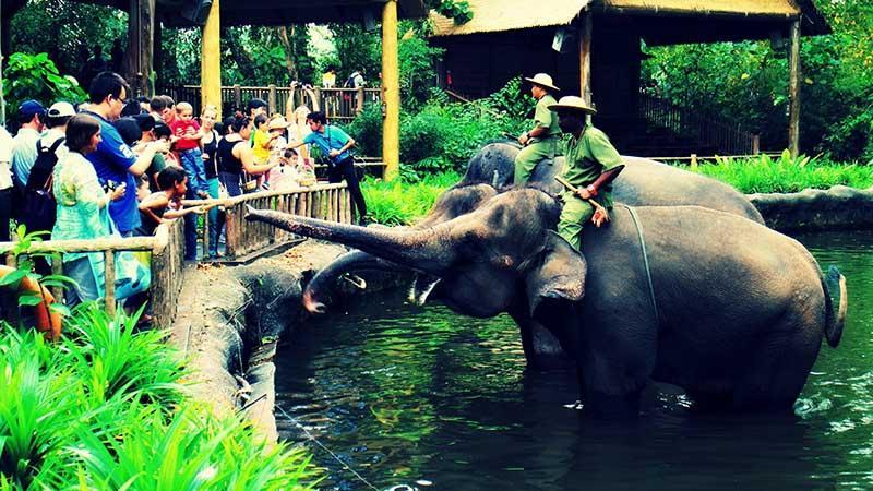 دیدار از باغ وحش سنگاپور