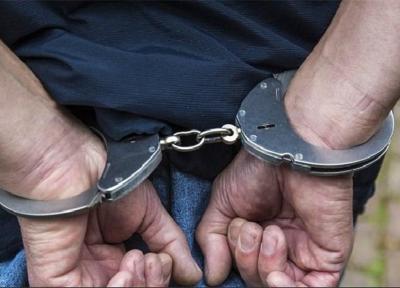 660 کودک آزار در انگلیس بازداشت شدند