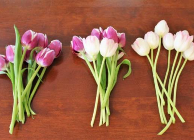 روش های ساده برای جلوگیری از پژمردگی گلهای لاله