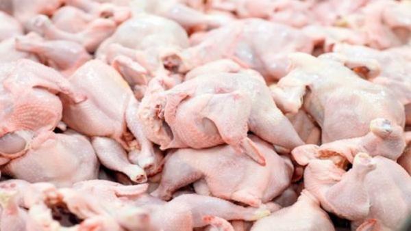 جهاد کشاورزی تدارک گوشت مرغ مورد احتیاج ماه مبارک رمضان را دیده است