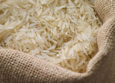 رکوردشکنی بی سابقه قیمت برنج
