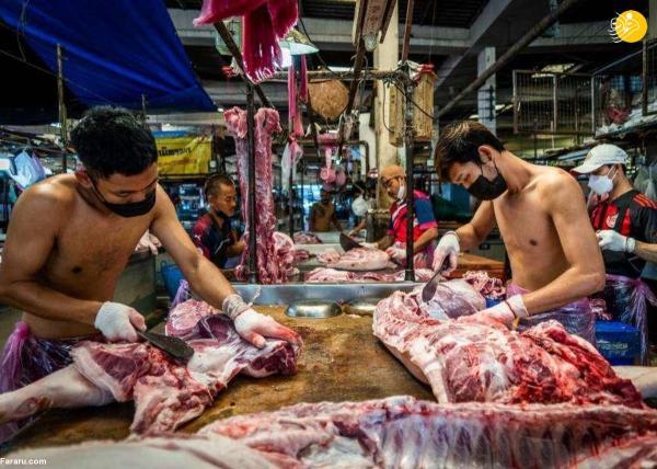 تور ارزان تایلند: با افزایش قیمت گوشت خوک، تایلندی ها گوشت کروکودیل می خورند
