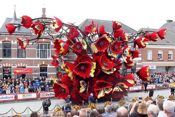 تور هلند: از جشنواره های دیدنی هلند بیشتر بدانید